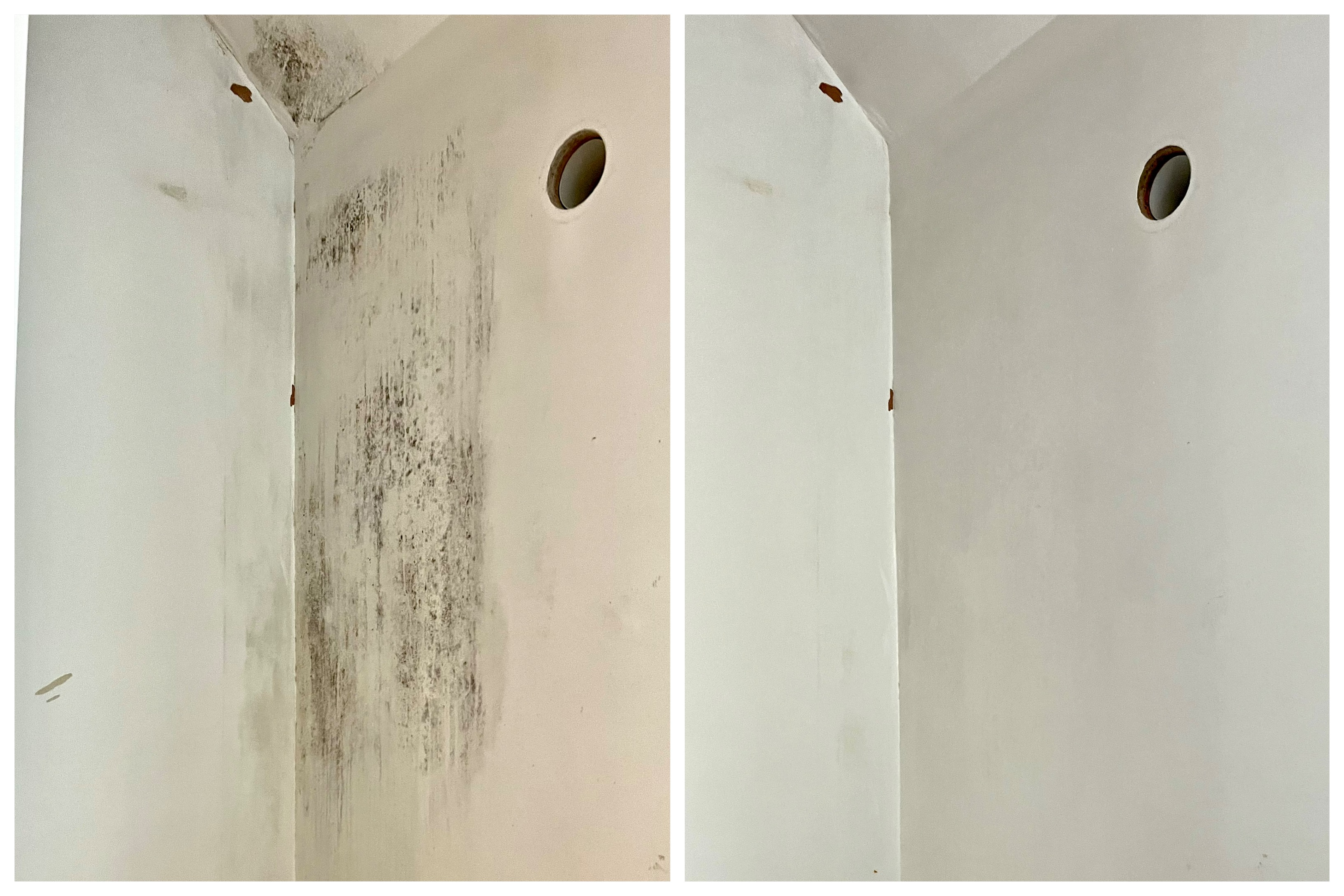 Most effective Mould Removal Products For Home Use | Less Of A Mess