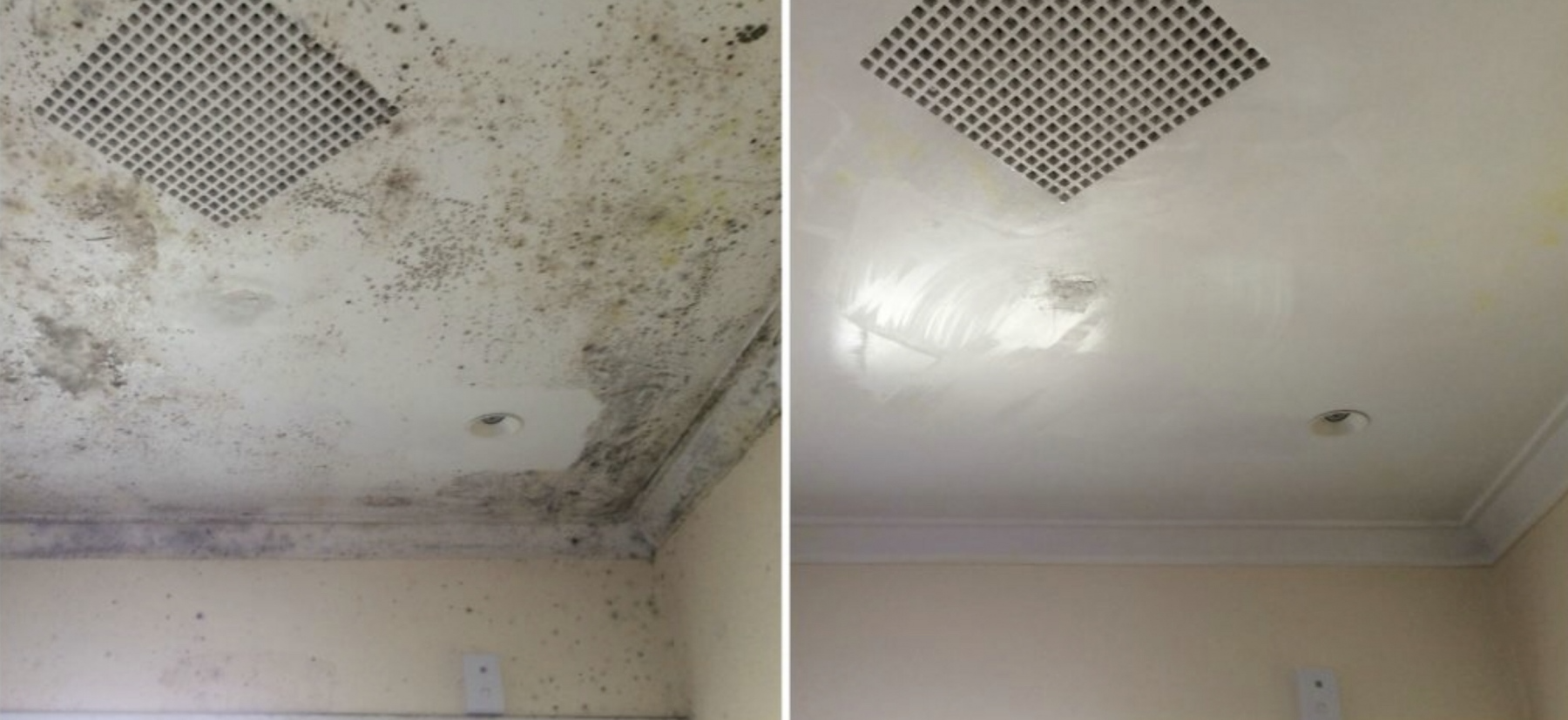 Mould removal/ mould control process - Melbourne Cleaners